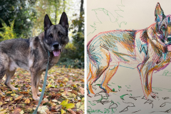 Poorly Drawn Pets-Website Template - 1