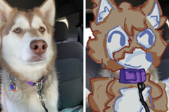 Poorly Drawn Pets-Website Template - 1