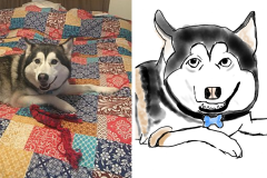 Poorly Drawn Pets-Website Template - 1
