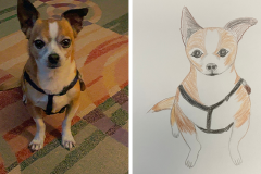 Poorly Drawn Pets-Website Template - 1