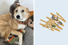 Poorly Drawn Pets-Website Template - 1