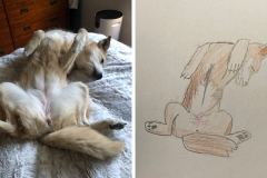 Poorly Drawn Pets-Website Template - 1