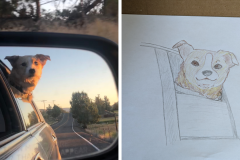 Poorly Drawn Pets-Website Template - 1