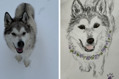 Poorly Drawn Pets-Website Template - 1