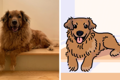 Poorly Drawn Pets-Website Template - 1