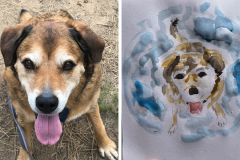 Poorly Drawn Pets-Website Template - 1