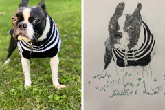 Poorly Drawn Pets-Website Template - 1