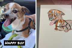 Poorly Drawn Pets-Website Template - 1