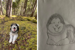 Poorly Drawn Pets-Website Template - 1