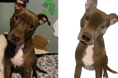 Poorly Drawn Pets-Website Template - 1