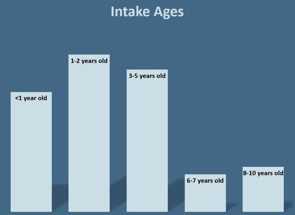 Intake Ages